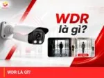 WDR là gì?