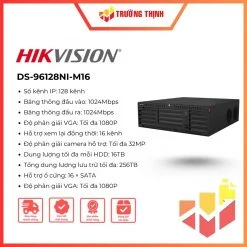 DS-96128NI-M16