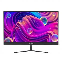 Màn hình Hikvision DS-D5024F2-BV2