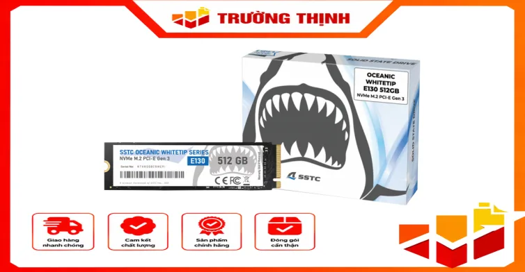 SSD SSTC Oceanic Whitetip E130 512G NVMe Gen3
