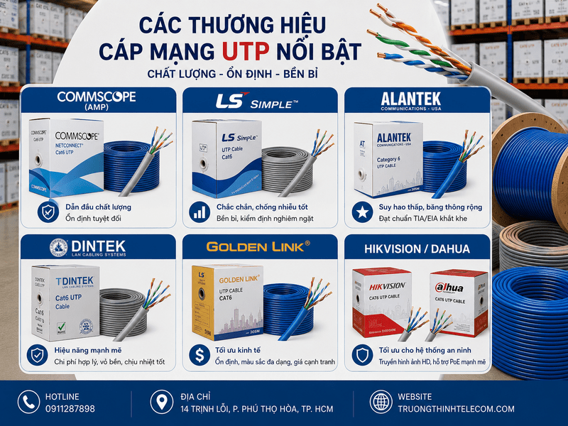 Các thương hiệu cáp mạng UTP nổi bật được tin dùng