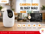 Camera Imou bị mất màu