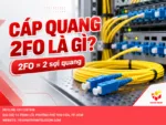 Cáp quang 2FO là gì