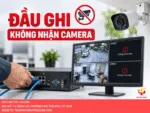 Đầu ghi không nhận camera