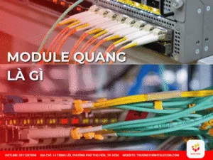 Module quang là gì