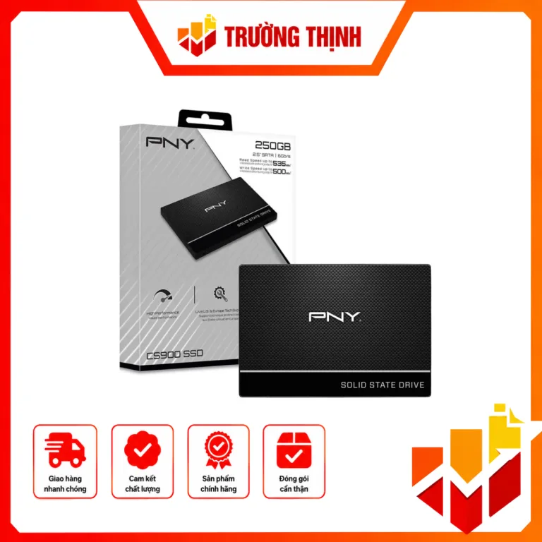 SSD PNY 250GB CS900