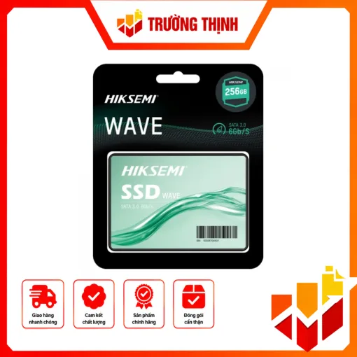 SSD HIKSEMI WAVE(S) 256GB
