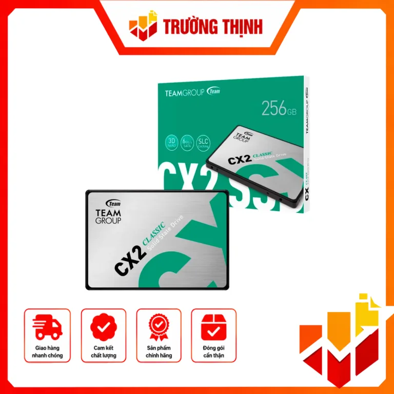 SSD TeamGroup CX2 256GB