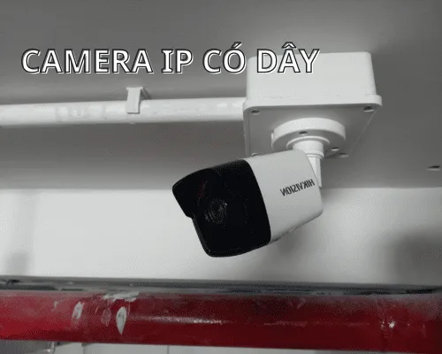 Camera Ip có dây