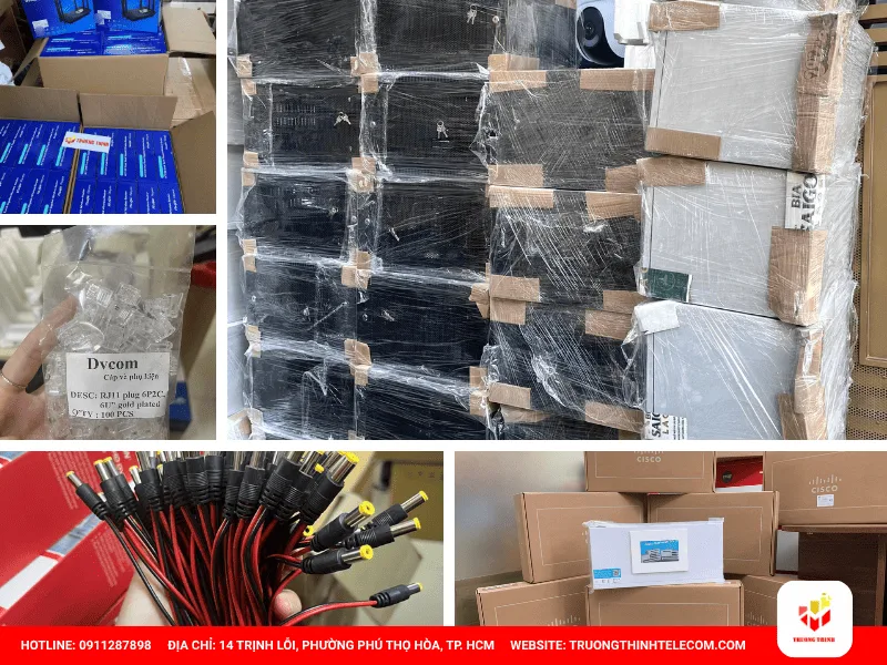 Công ty Trường Thịnh hỗ trợ SI từ BOM đến giao hàng