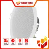 Loa Hikvision DS-QAE0206G1-V