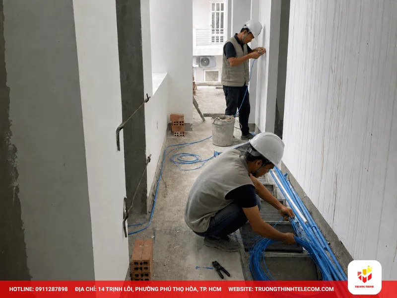Trường học, Trung tâm đào tạo và Bệnh viện
