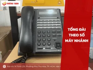 Tổng đài theo số máy nhánh
