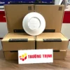 Bộ phát Wi-Fi 6 Grandstream ốp trần – ảnh thực tế tại Trường Thịnh Telecom