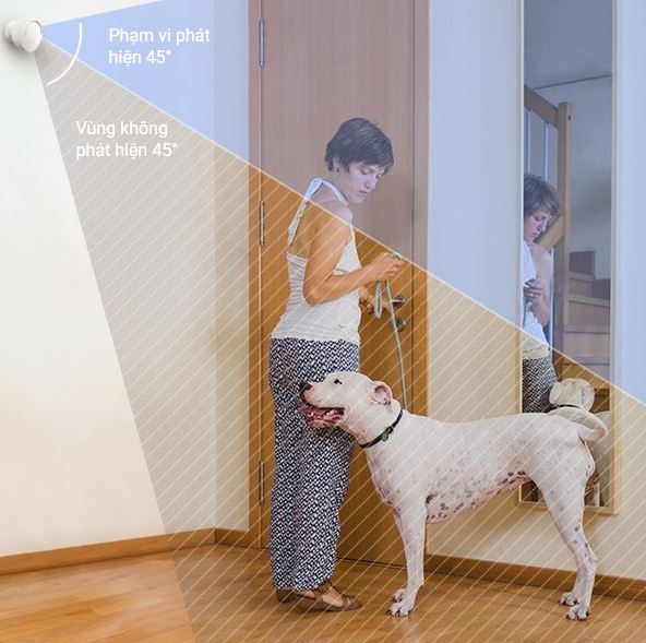 Bộ báo động chống trộm CS-B1 nhận được thông báo khi có ai đặt chân vào phòng