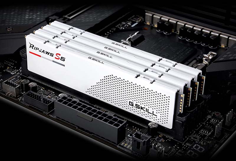 Ram PC GSkill Ripjaws S5 32GB DDR5 5600MHz F5-5600J4040C16GX2-RS5W - ảnh 2